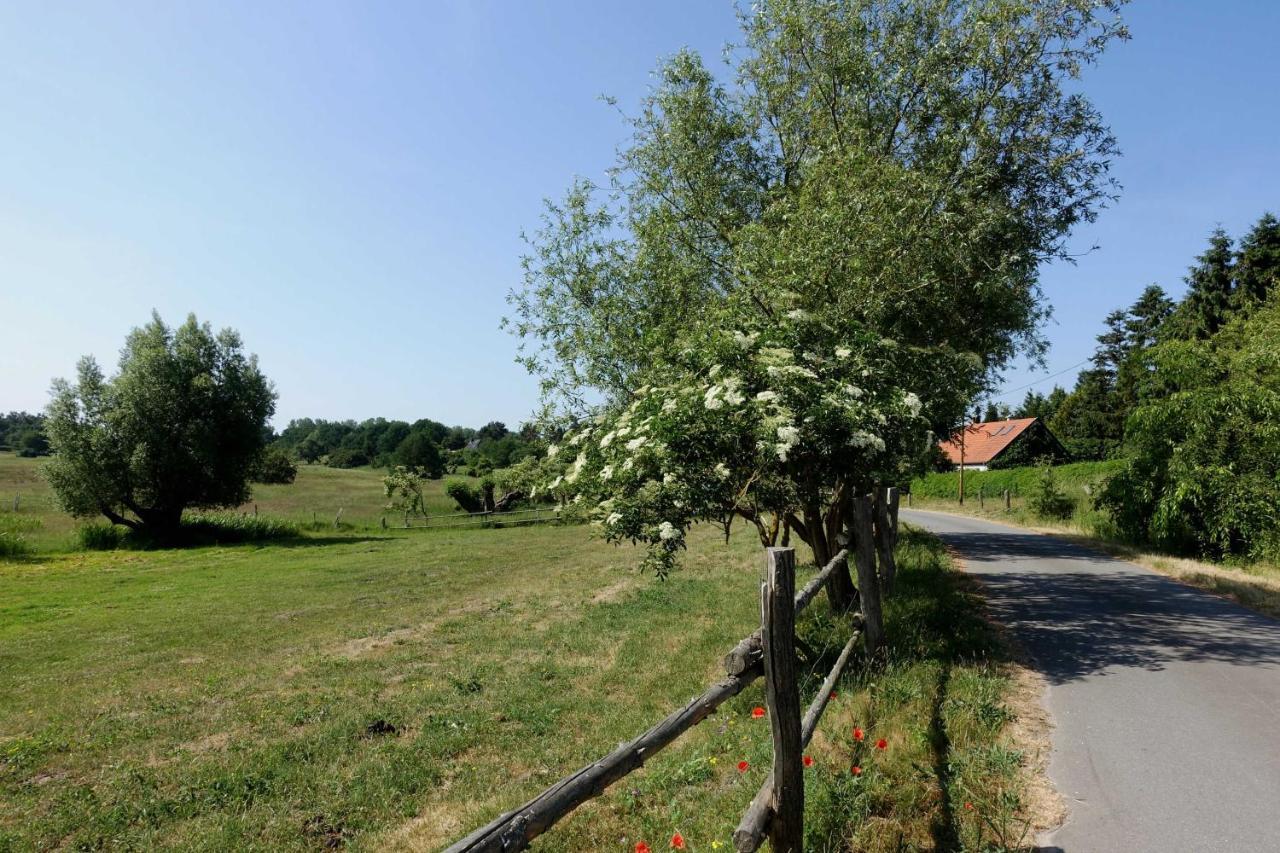 Ferienwohnung Mit Terrasse Gustow  Esterno foto